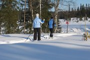 Cross-country skiing in Jämtland/Sweden