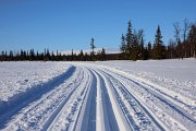 Ski run in Galåbodarna/Northern Sweden