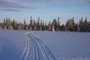 Cross country ski run nearby Galå Fjällgård in Sweden