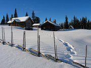 Snowshoe-hiking in Galåbodarna