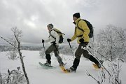 Snowshoe-hiking