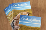 Markierter Wanderweg im Oviksfjll