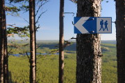 Wanderung Jämtland Galberget