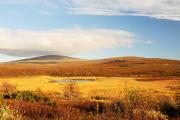 Herbst in Jmtland