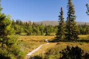 Herbstwanderung nach stra Ardalen
