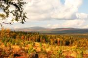 Aussicht vom Predikstolen